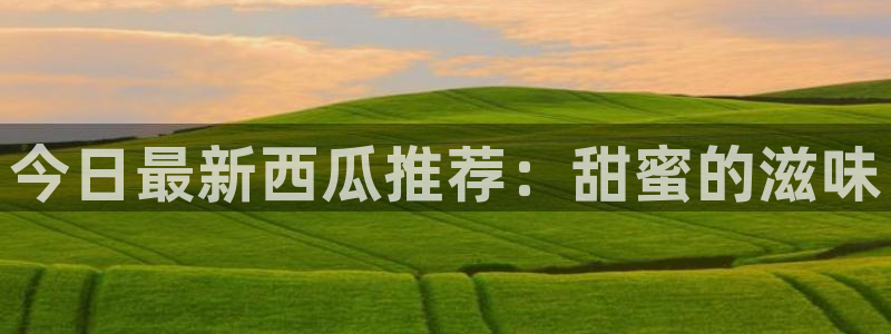 黑料爆料网页入口