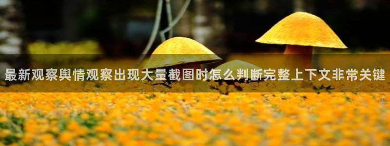 黑料爆料最新