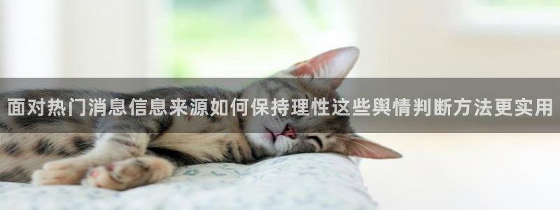 每日网络热点