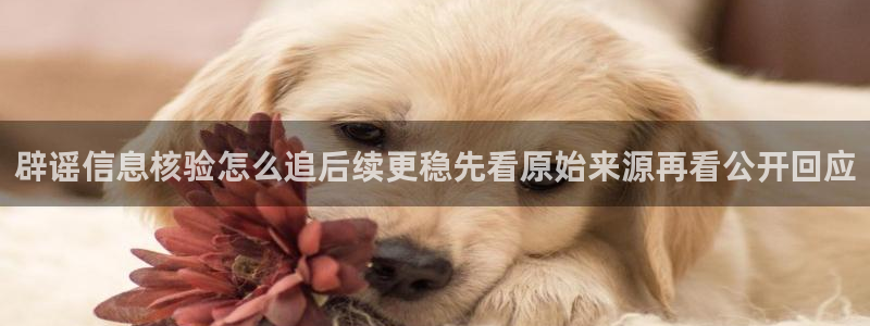 黑料爆料入口大全