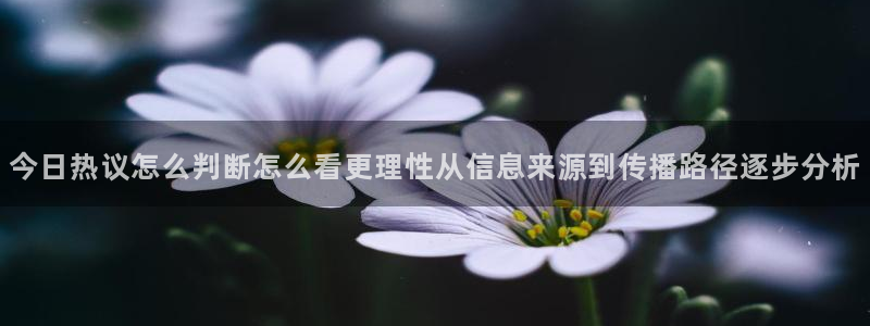 网络黑料资讯