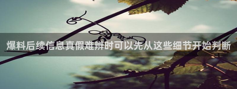 热门资讯动态