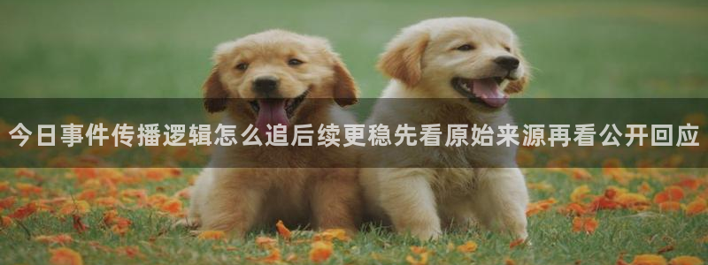 网络资讯动态