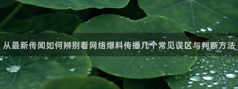 热点资讯动态