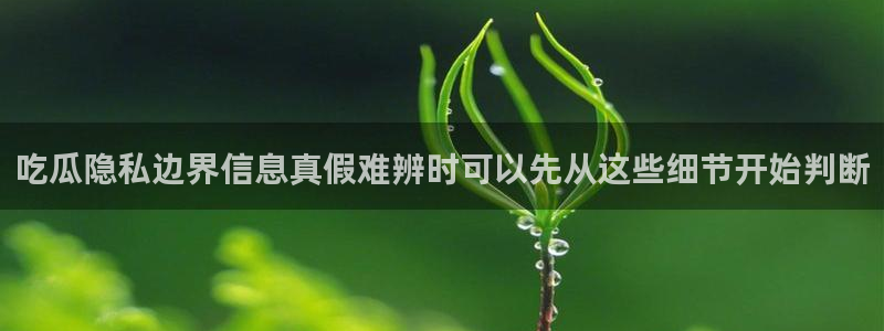 网络热点爆料