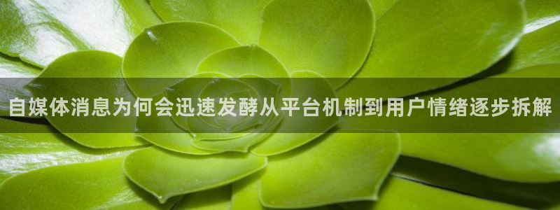 黑料爆料页面入口：自媒体消息为何会迅速发酵从平台机制到用户情绪逐步拆解