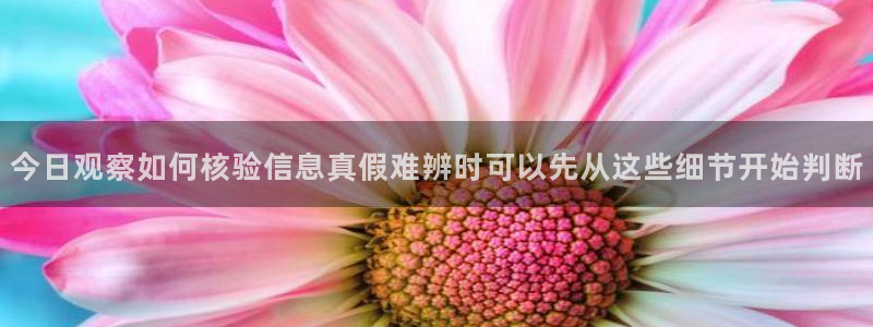 网络热点爆料