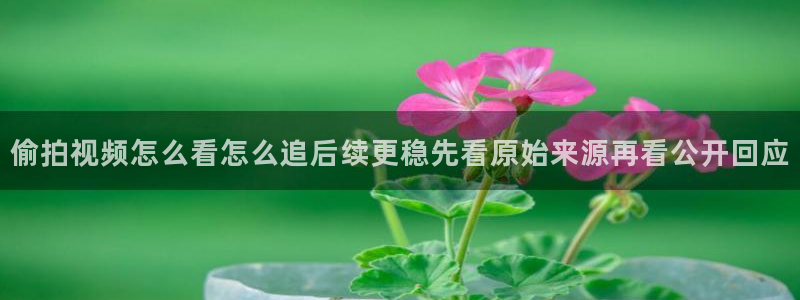 今日网络资讯
